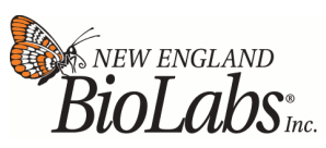 WarmStart Colorimetric LAMP Master Mix